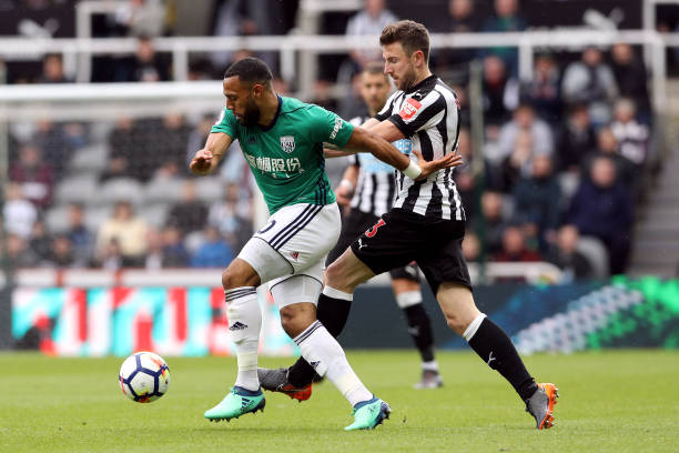 毛球男单领 毛球男单领